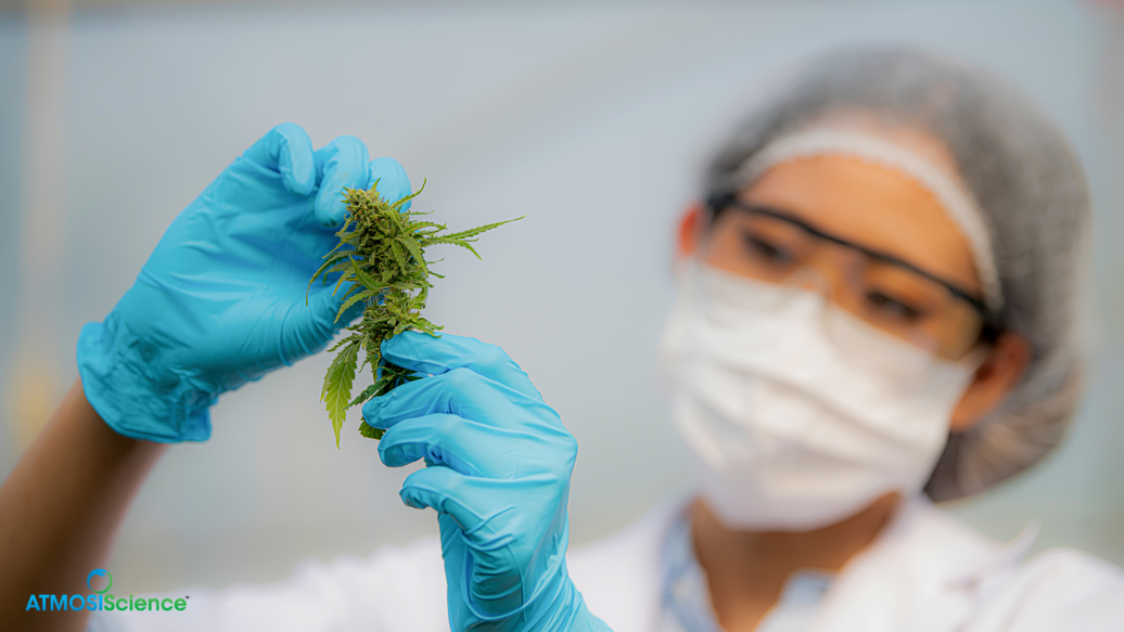 Best Humidity to Store Weed in 2026