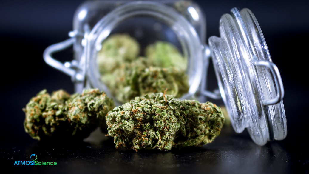 Cannabis stored at 62% RH with two-way humidity control to preserve terpenes