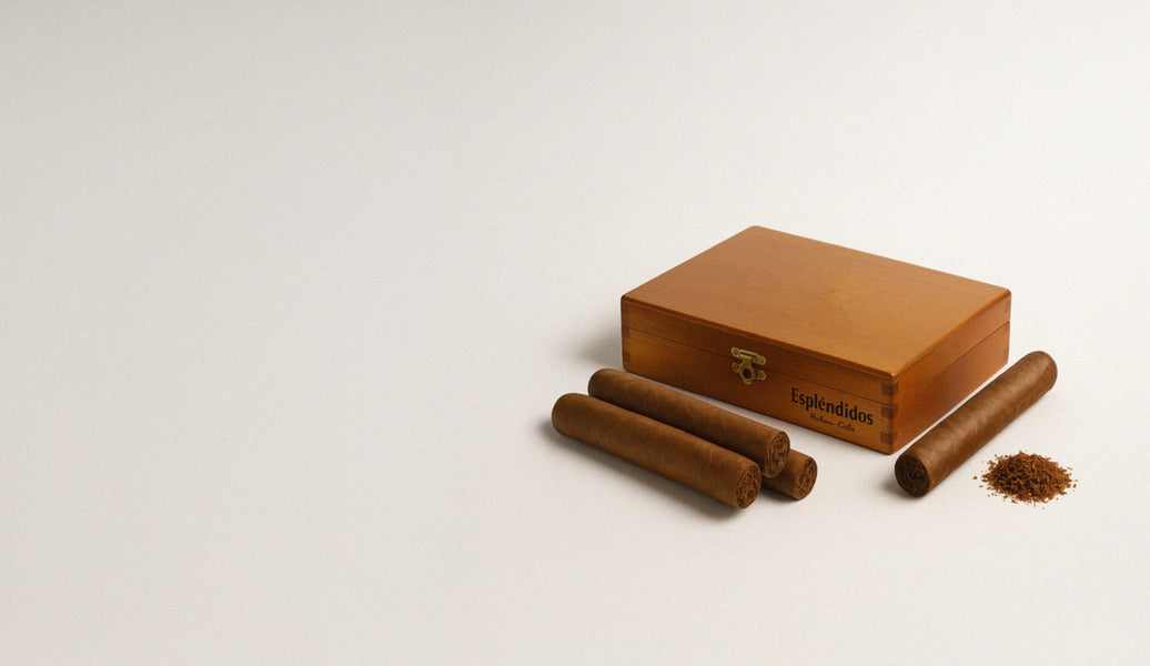 Close-up of premium cigar tobacco — beetle outbreaks start with heat and humidity spikes above 72F