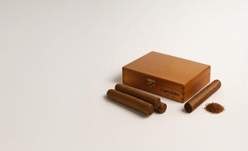 Cigars and tobacco leaf — seasonal RH swings hit storage hardest in winter and summer