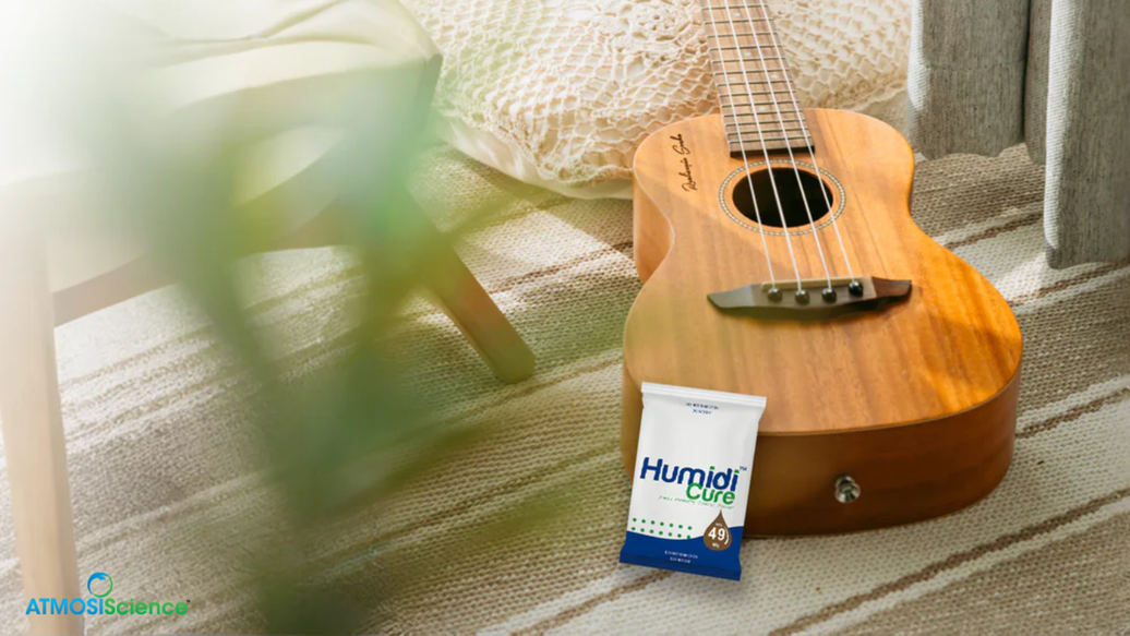 Guitar Humidity Control: how to keep your instrument sounding right for years
