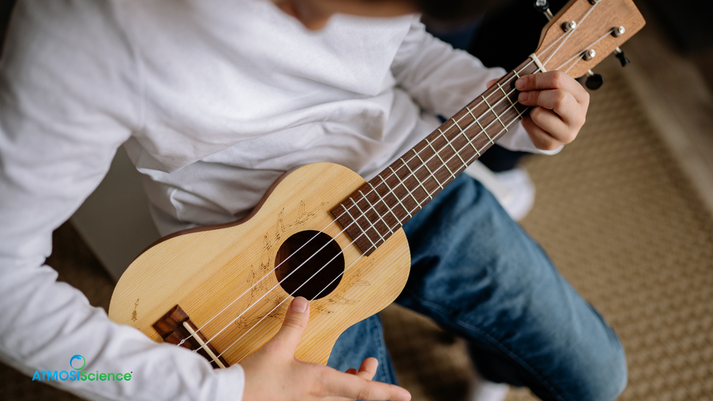 Humidi-Cure 49% RH packet for ukulele, mandolin, banjo, and woodwind cases