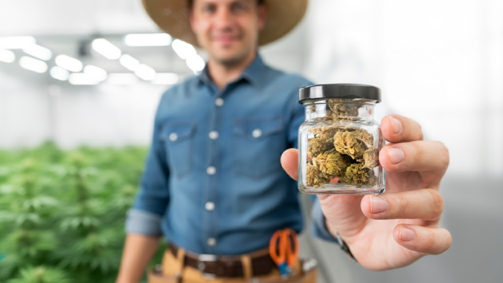 Why Flower Gets Harsher After Jarring