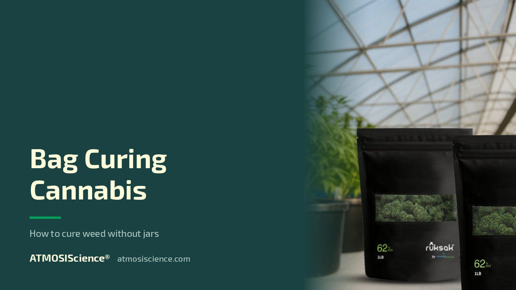 Bag curing cannabis — how to cure weed without jars | ruksak® two-way humidity bag by ATMOSIScience