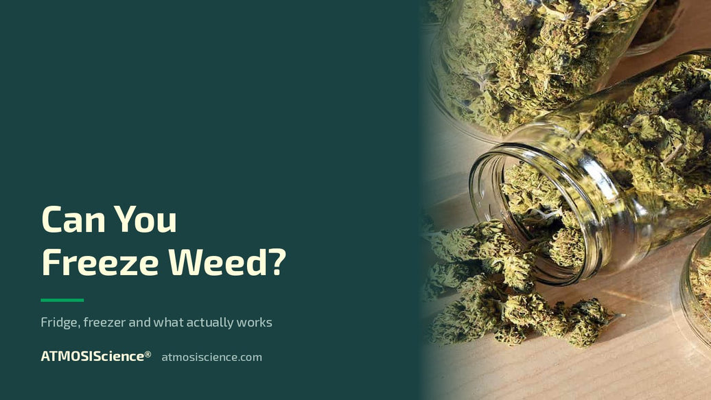 Can you freeze weed — fridge, freezer and long-term storage | Humidi-Cure® 62% two-way humidity control