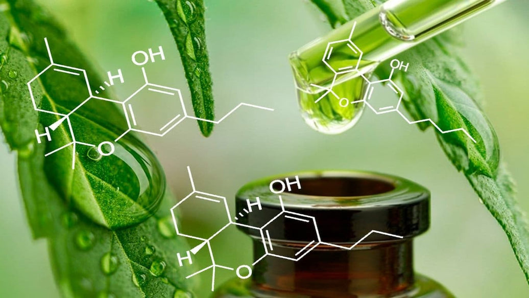 entourage effect - cover