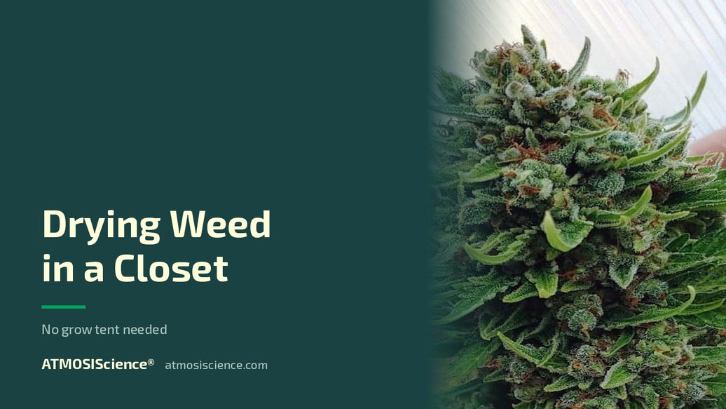How to dry weed in a closet or small space without a grow tent | Humidi-Cure® 62% two-way humidity control