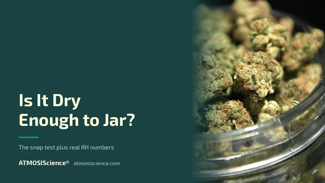 How to tell if weed is dry enough to jar — snap test and real RH numbers | Humidi-Cure® 62%