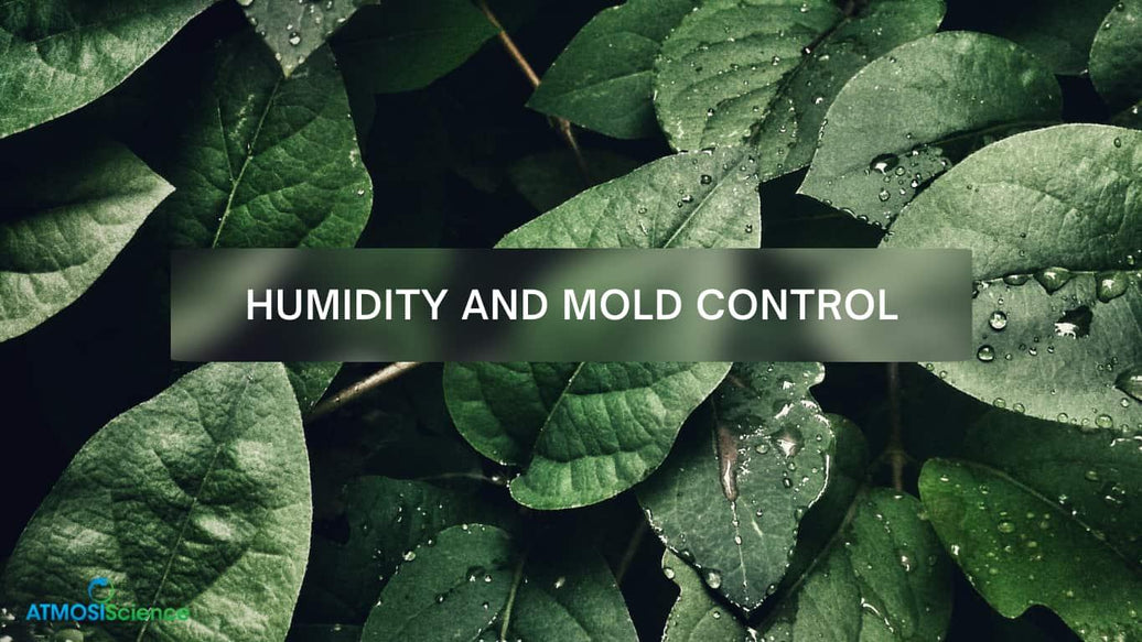 Humidity and mold control: Mastering humidity, key of mold prevention - ATMOSIScience | 2-Way Humidity Control, Naturally