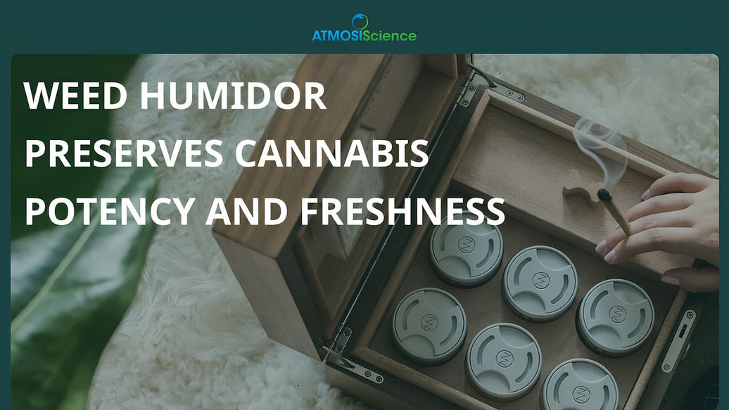 weed humidor - cover