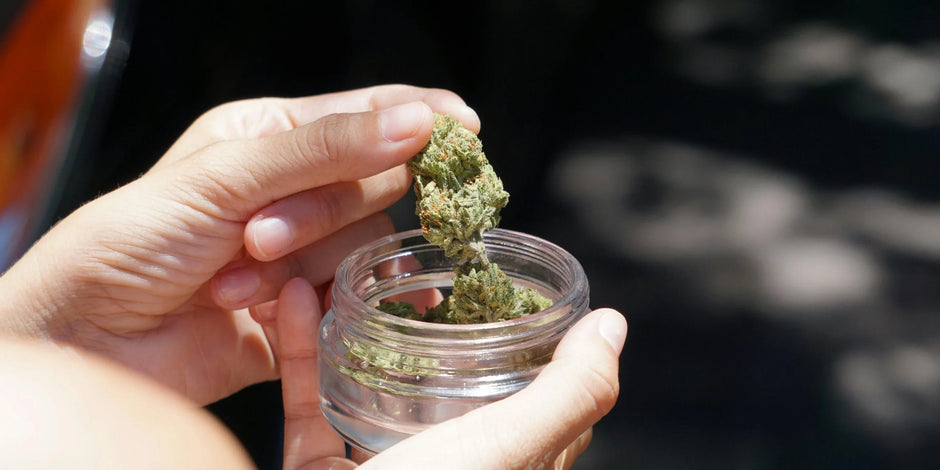 Cannabis - ATMOSIScience | 2-Way Humidity Control, Naturally