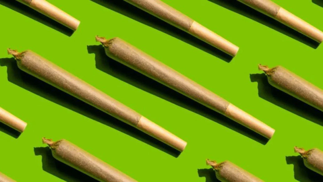 10 Game-Changing Dispensaries In The US - ATMOSIScience | 2-Way Humidity Control, Naturally