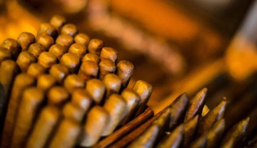 5 Amazing Cigars To Try Before You Die - ATMOSIScience | 2-Way Humidity Control, Naturally