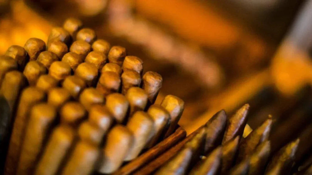 5 Amazing Cigars To Try Before You Die - ATMOSIScience | 2-Way Humidity Control, Naturally