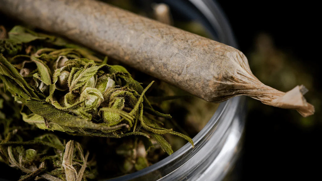 5 Cannabis Strains for Anxiety & Stress Relief - ATMOSIScience | 2-Way Humidity Control, Naturally