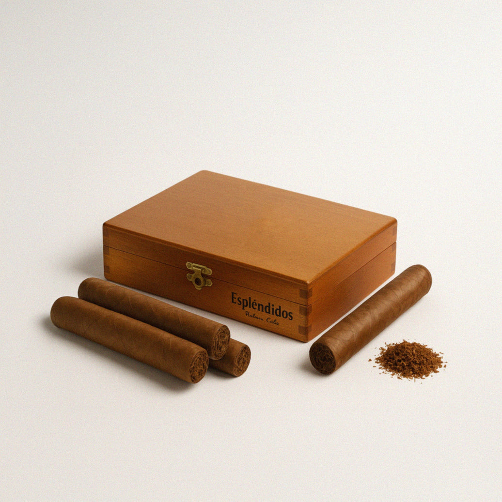 Close-up of cigar wrappers — where plume crystals and mold spots first appear
