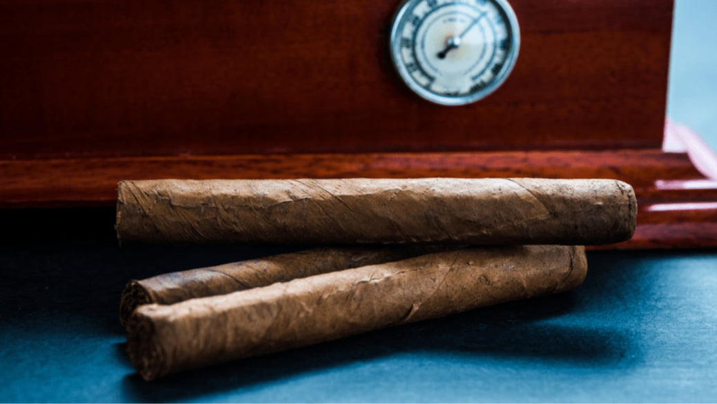 Premium cigars stored outside of a humidor — sealed containers with 2-way humidity packs keep them fresh