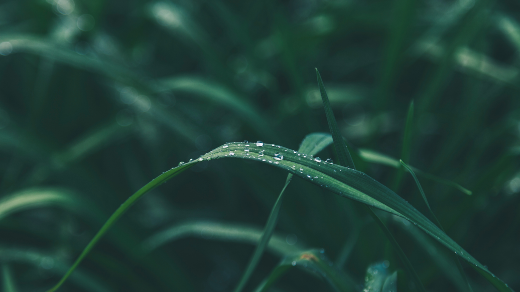 From Material to Microclimate - How ATMOSIScience is Redefining Humidity Management for Modern Industries