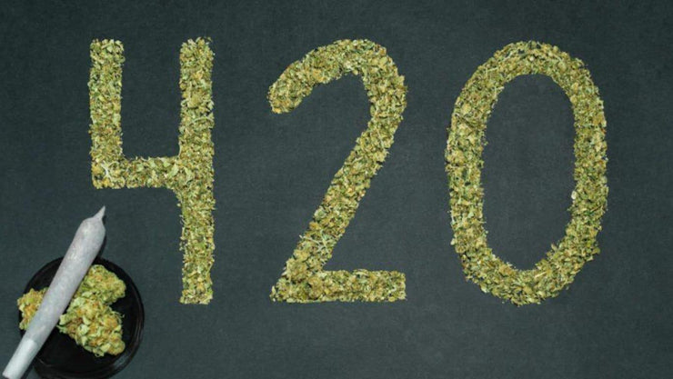 Celebrating 420, Cannabis Culture & The History Behind It