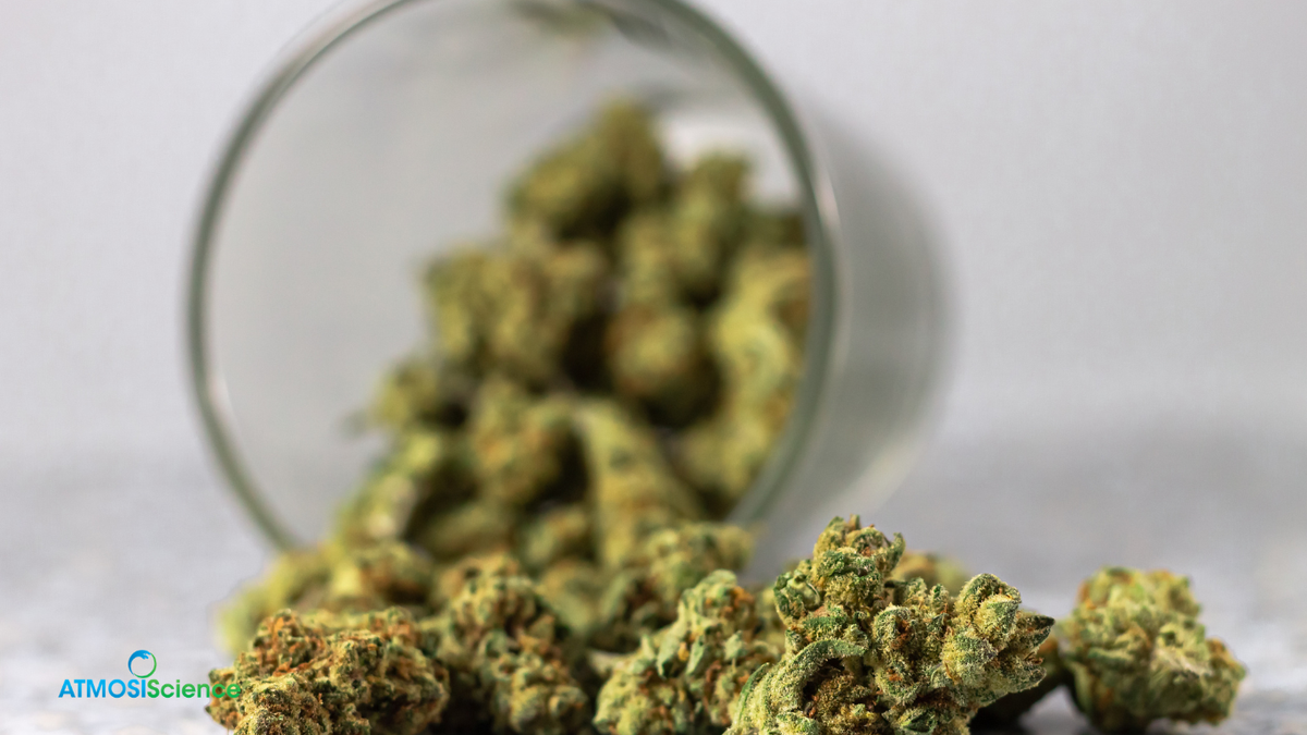 Humidi-Cure 62% RH packs sized for cannabis jars from 1/8 oz to 1/2 lb