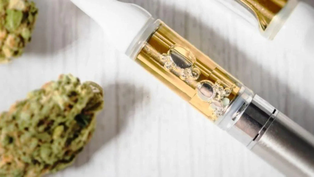 7 Trailblazing Cannabis Companies In 2023