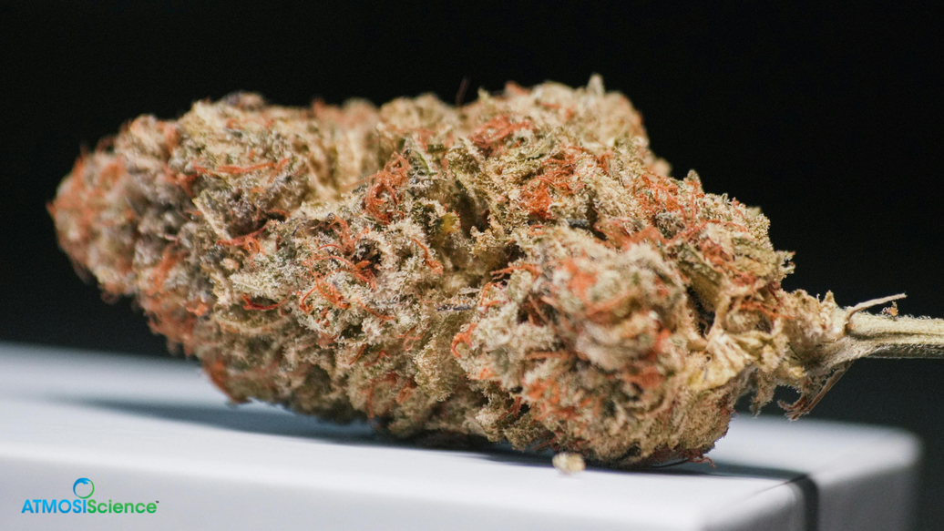 Why does your cannabis flower lose terpenes after packaging?