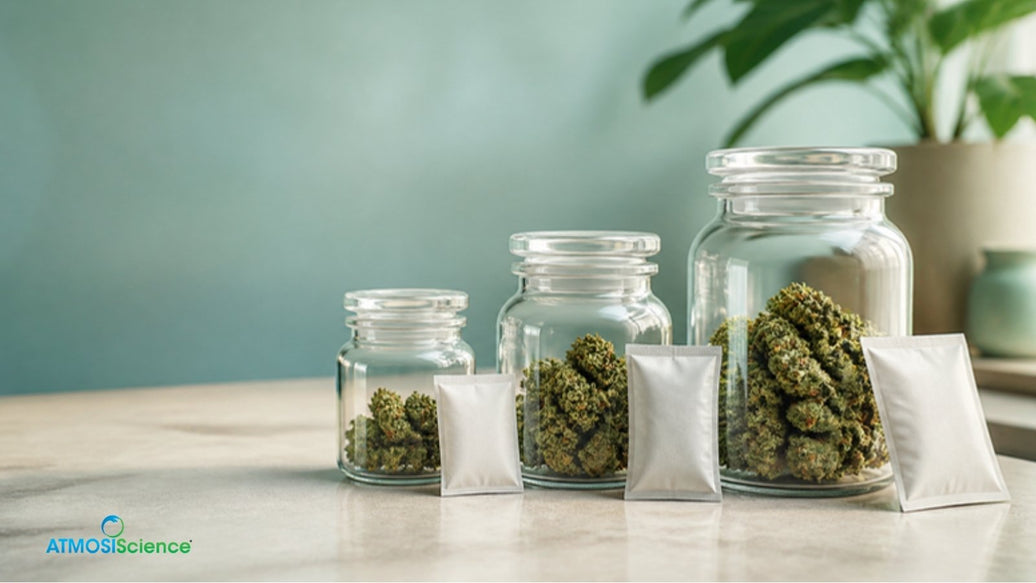 Small, medium and large jars of cannabis with humidity packs, 62% humidity pack jar sizing