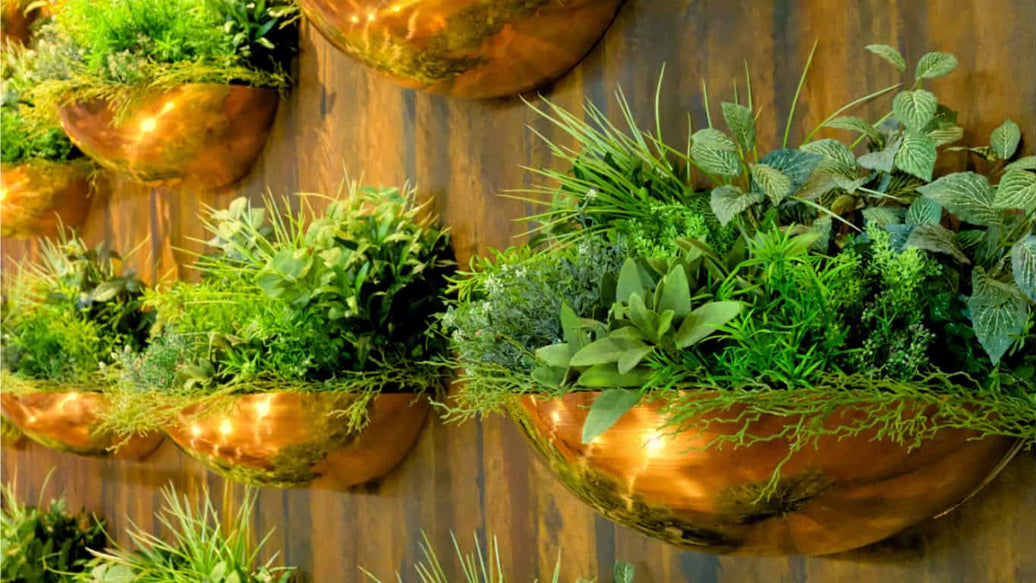 best herb indoor garden - cover