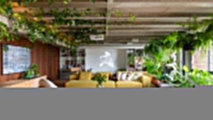 best indoor garden - cover