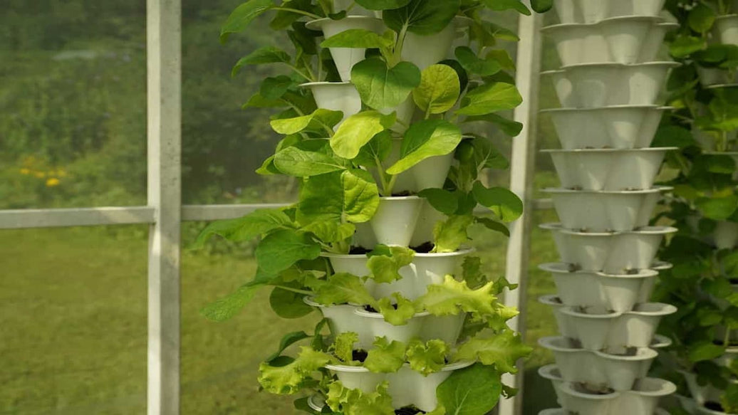 best indoor garden - cover