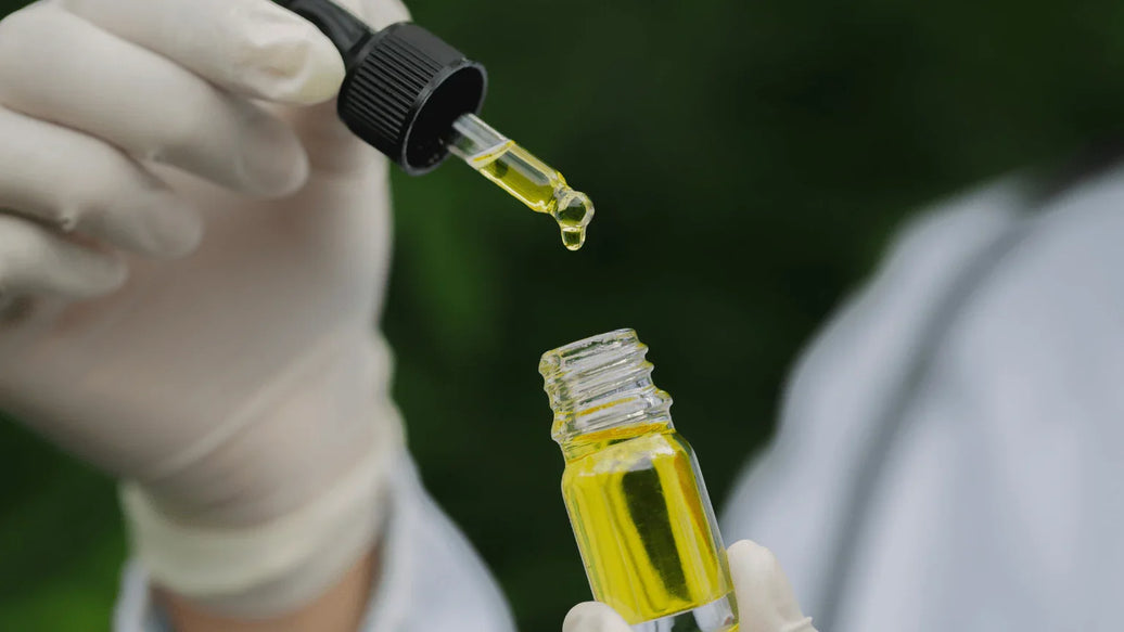 Cannabis Humidity Chart: Perfect Your Grow Conditions - ATMOSIScience | 2-Way Humidity Control, Naturally