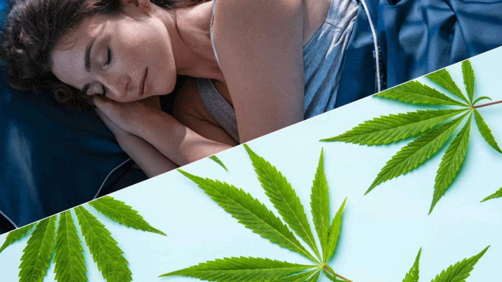 Cannabis & Sleep: How Different Strains Affect Your Sleep - ATMOSIScience | 2-Way Humidity Control, Naturally