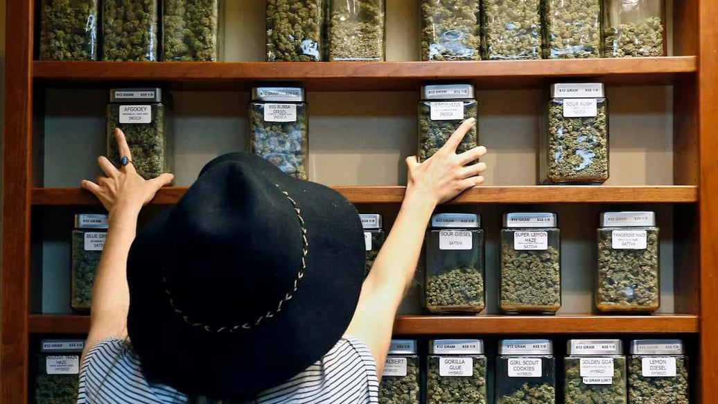 cannabis dispensary supplies - cover