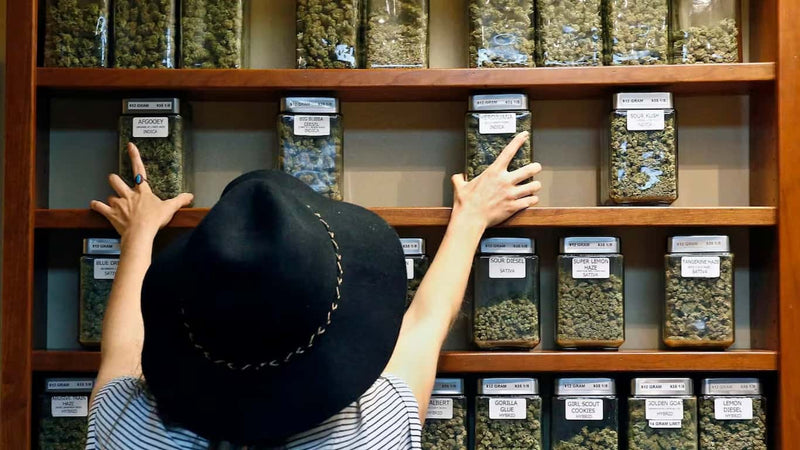 cannabis dispensary supplies - cover