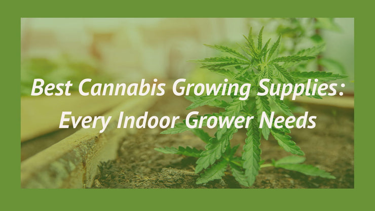 cannabis growing supplies - cover