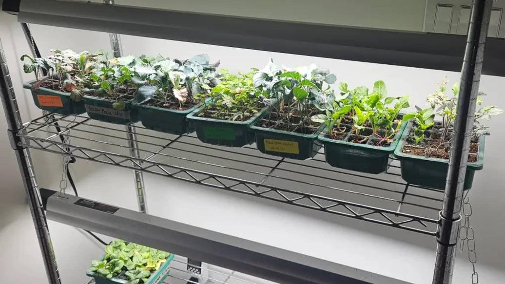 cover - indoor herb grower with light