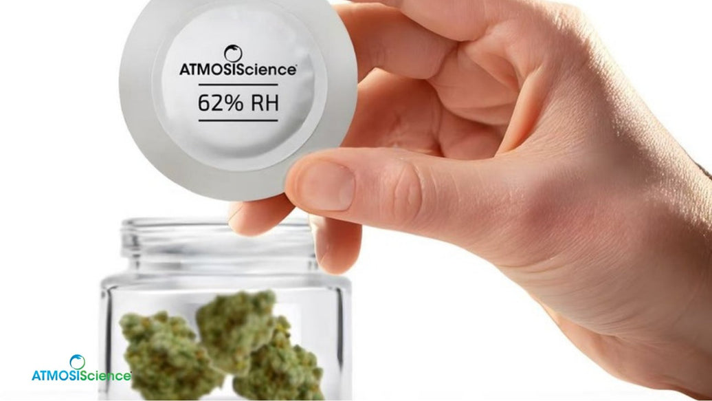 ATMOSIScience® 62% RH fiber humidity liner lifted from a glass jar of cannabis flower