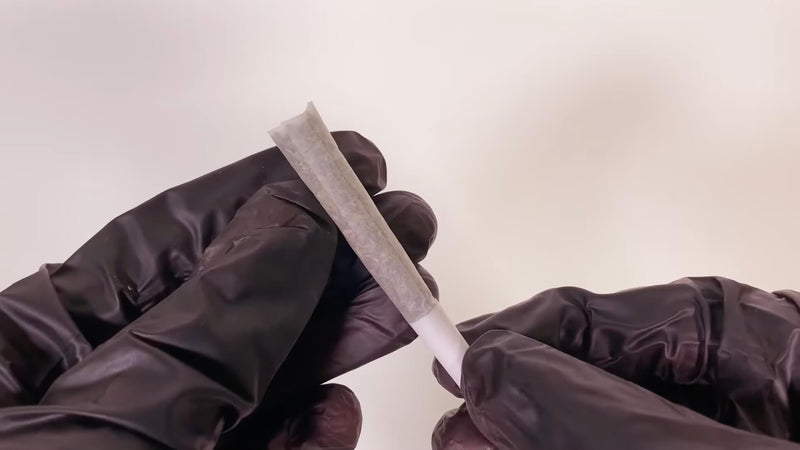 Twist vs. Dutch Crown: Which Finish Actually Delivers a Better Pre-Roll?