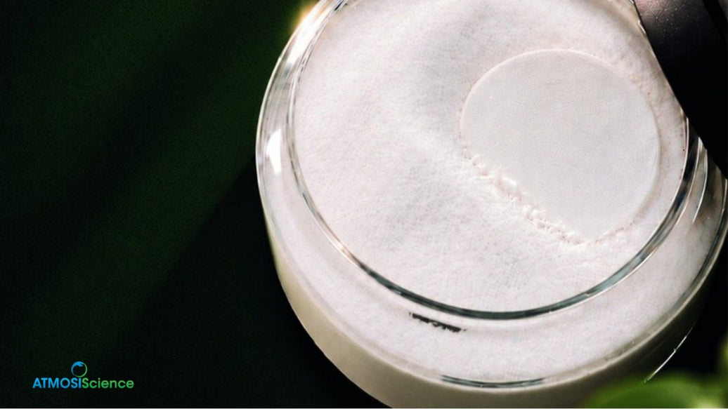 A round Fiber Desiccant Card resting on powder in a glass jar