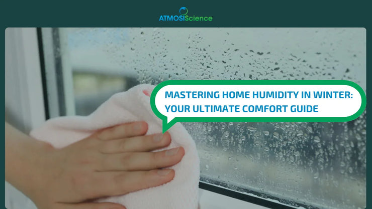Mastering home humidity in winter: Your ultimate comfort guide