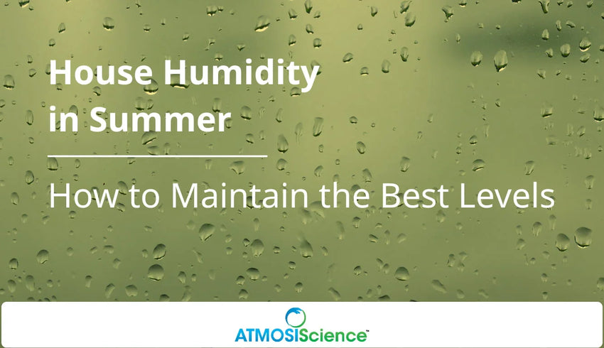 House Humidity in Summer: How to Maintain the Best Levels