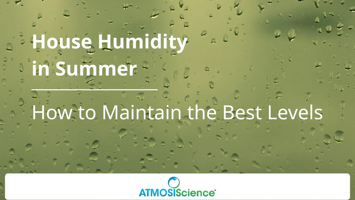 House Humidity in Summer: How to Maintain the Best Levels