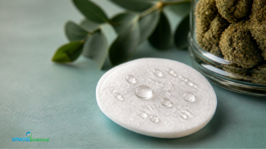 White fiber pad with beads of moisture beside a jar of buds, how two-way humidity control works