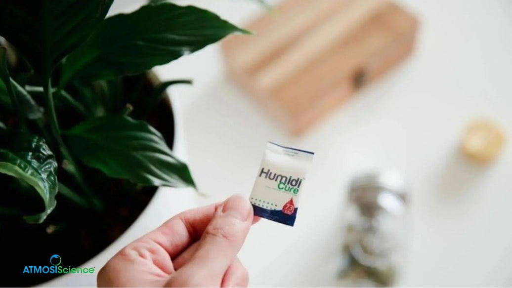 Hand holding a Humidi-Cure® cigar humidity pack beside a plant, how long cigar humidity packs last