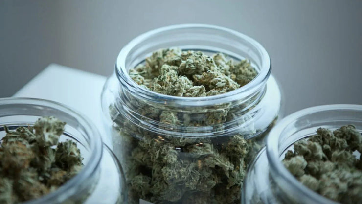 How to Control Humidity When Storing Your Cannabis - ATMOSIScience | 2-Way Humidity Control, Naturally