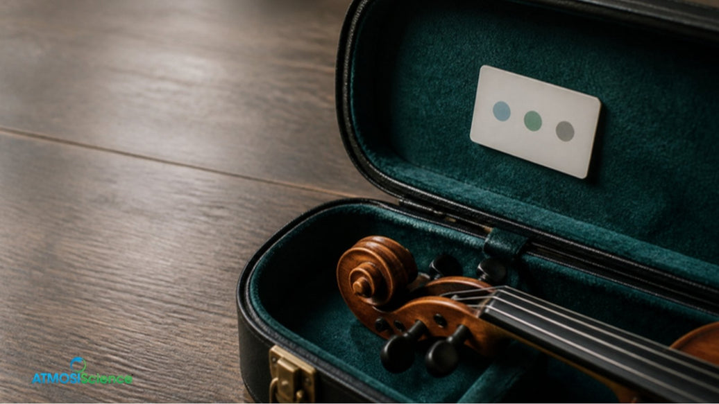Blank humidity indicator card in an open violin case lid, reading an RH indicator card to time pack changes