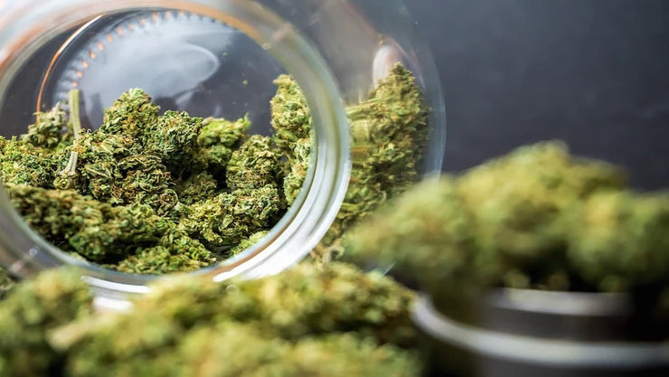 how to keep weed fresh - cover