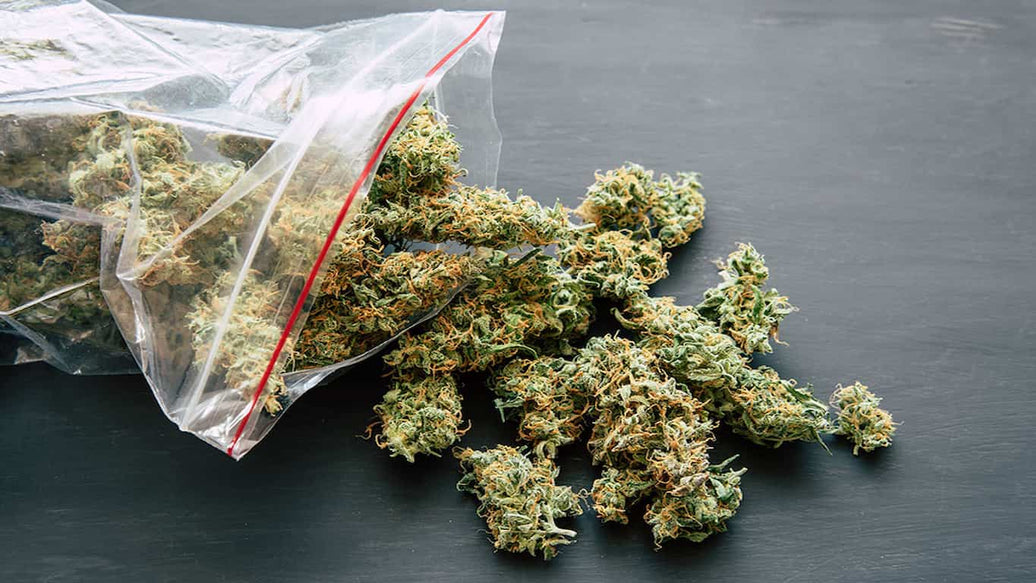 how to rehydrate weed - cover