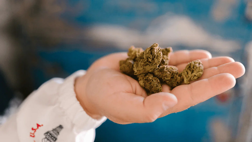 If You Spend A Lot of Money on Weed, Here’s How to Protect it - ATMOSIScience | 2-Way Humidity Control, Naturally