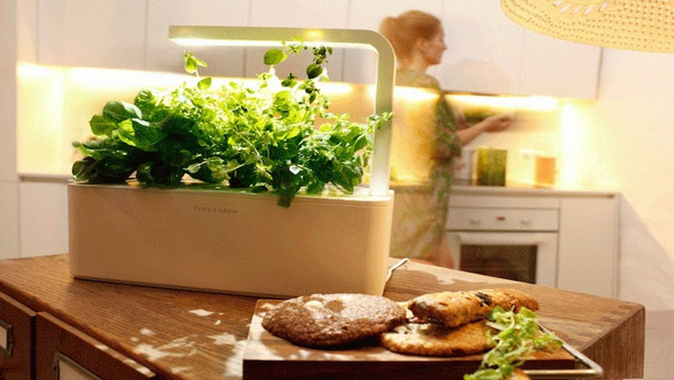 indoor countertop herb garden - cover
